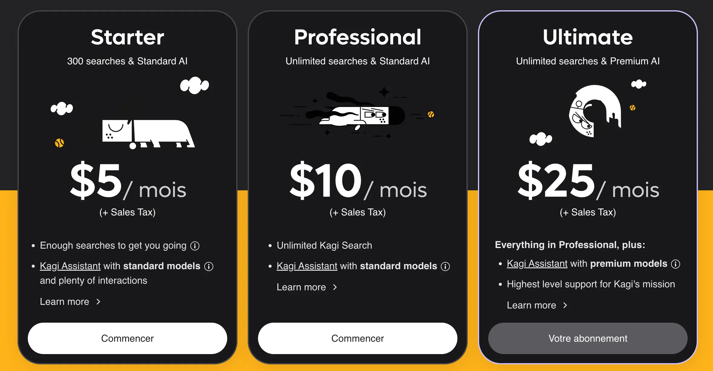 Kagi pricing